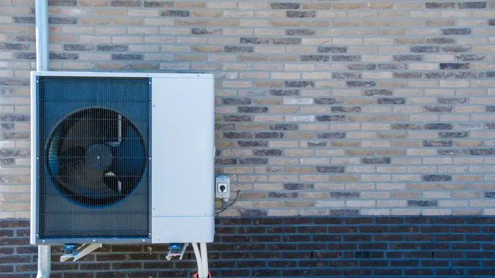 Service Introduction